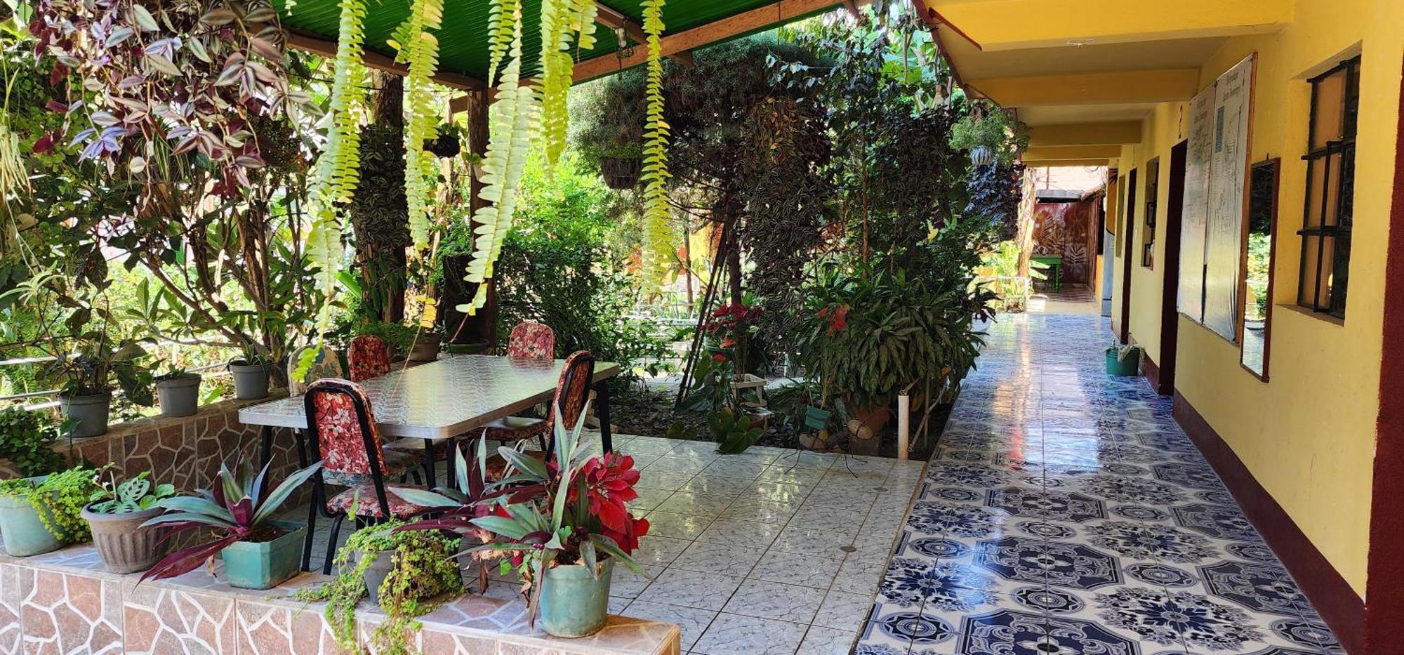 Hospedaje Santo Domingo Панахачел Екстериор снимка